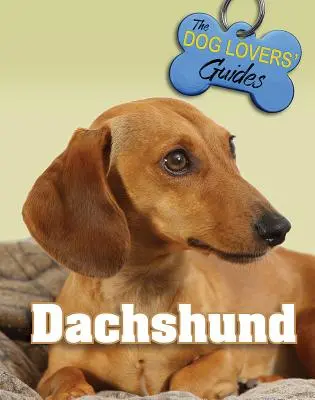 Jazvečík - Dachshund