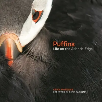 Puffins: Život na okraji Atlantiku - Puffins: Life on the Atlantic Edge