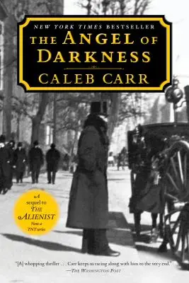Anjel temnoty: Druhá kniha Cudzinca - The Angel of Darkness: Book 2 of the Alienist