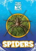 Pavúky - Spiders
