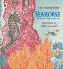 Morský koník: Najplachšia ryba v mori - Seahorse: The Shyest Fish in the Sea