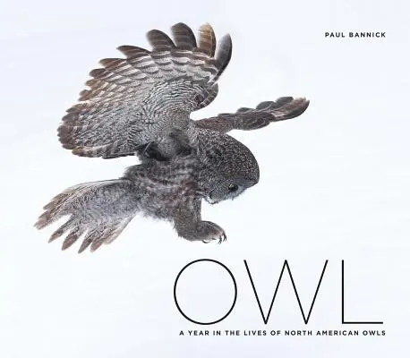 Sova: Rok v živote severoamerických sov - Owl: A Year in the Lives of North American Owls