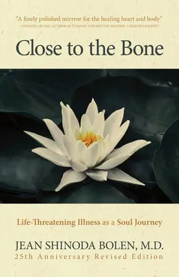 Blízko ku kosti: Život ohrozujúca choroba ako cesta duše - Close to the Bone: Life-Threatening Illness as a Soul Journey
