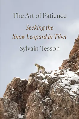 Umenie trpezlivosti: Hľadanie snehového leoparda v Tibete - The Art of Patience: Seeking the Snow Leopard in Tibet