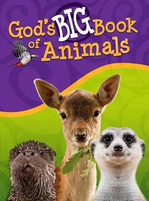 Božia veľká kniha o zvieratách - God's Big Book of Animals