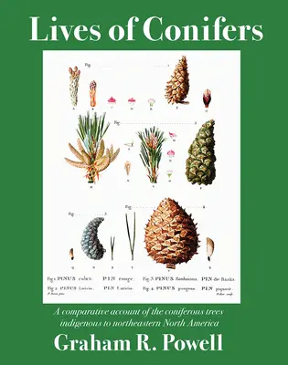 Životy ihličnanov: Porovnávanie ihličnatých stromov pôvodných v severovýchodnej časti Severnej Ameriky - Lives of Conifers: A Comparative Account of the Coniferous Trees Indigenous to Northeastern North America