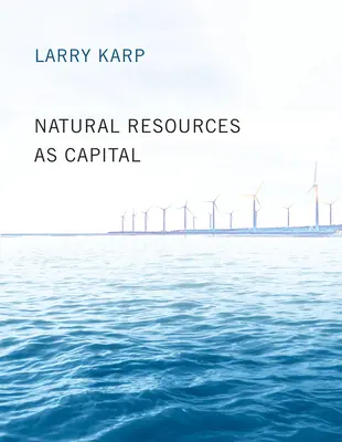 Prírodné zdroje ako kapitál - Natural Resources as Capital