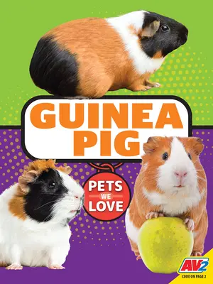 Morča - Guinea Pig