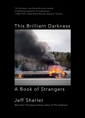 Táto brilantná temnota: Kniha o cudzincoch - This Brilliant Darkness: A Book of Strangers