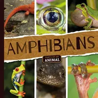 Obojživelníky - Amphibians