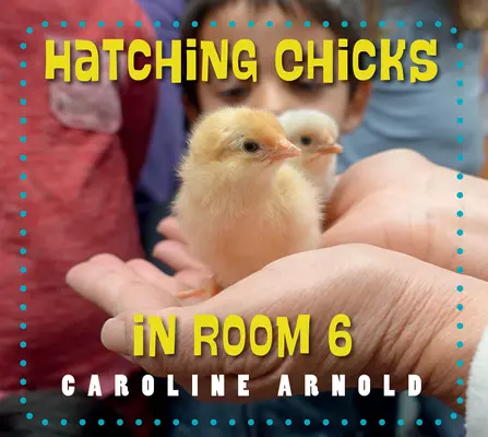 Liahnutie kuriatok v izbe č. 6 - Hatching Chicks in Room 6