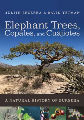 Slonie stromy, kopijovité a kuajoty: A Natural History of Bursera - Elephant Trees, Copales, and Cuajiotes: A Natural History of Bursera