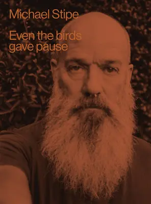 Michael Stipe: Dokonca aj vtáky si dali pauzu - Michael Stipe: Even the Birds Gave Pause