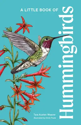 Malá kniha o kolibríkoch - A Little Book of Hummingbirds