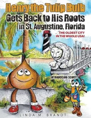 Tulipán Henry sa vracia ku koreňom v meste St. Augustine na Floride - Henry the Tulip Bulb Gets Back to His Roots in St. Augustine, Florida