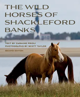Divoké kone zo Shackleford Banks - Wild Horses of Shackleford Banks