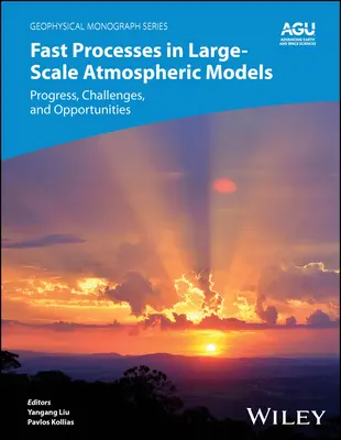 Rýchle procesy vo veľkorozmerných atmosférických modeloch: Pokrok, výzvy a príležitosti - Fast Processes in Large-Scale Atmospheric Models: Progress, Challenges, and Opportunities