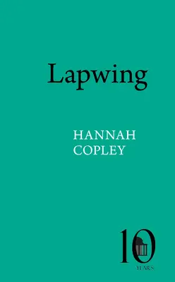 Čajka - Lapwing