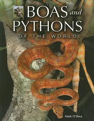 Boa a pytóny sveta - Boas and Pythons of the World