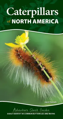 Húsenice Severnej Ameriky: Jednoduché určovanie 90 bežných motýľov a moľ - Caterpillars of North America: Easily Identify 90 Common Butterflies and Moths