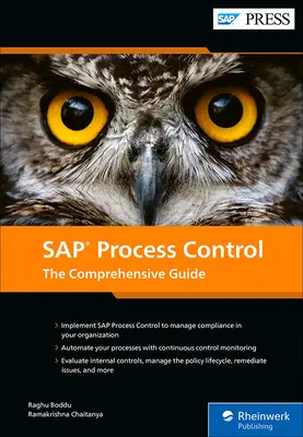 SAP Process Control (Riadenie procesov SAP): Komplexná príručka - SAP Process Control: The Comprehensive Guide