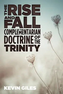 Vzostup a pád komplementárnej doktríny o Trojici - The Rise and Fall of the Complementarian Doctrine of the Trinity