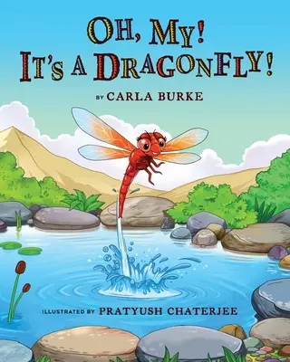 Oh my! Je to vážka! Príbeh o životnom cykle vážky - Oh my! It's A dragonfly!: A story on the life cycle of a dragonfly