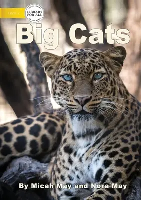 Veľké mačky - Big Cats
