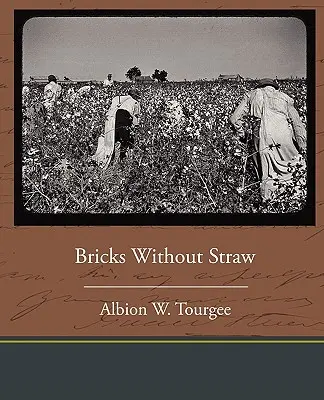 Tehly bez slamy - Bricks Without Straw