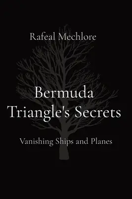 Tajomstvá Bermudského trojuholníka: Zmiznutie lodí a lietadiel - Bermuda Triangle's Secrets: Vanishing Ships and Planes