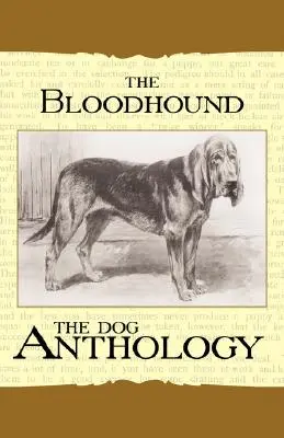Krvavý pes - Psí antológia - The Bloodhound - A Dog Anthology