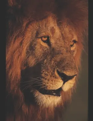 Verzia kráľa Ježiša: Základné zjavenia - King Jesus Version: Essential Revelations