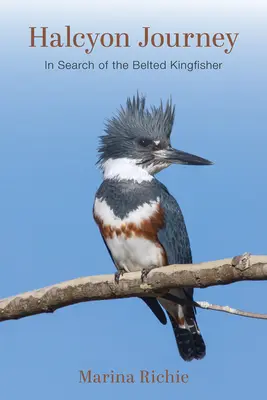 Halcyon Journey: Pri hľadaní rybárika pásavého - Halcyon Journey: In Search of the Belted Kingfisher