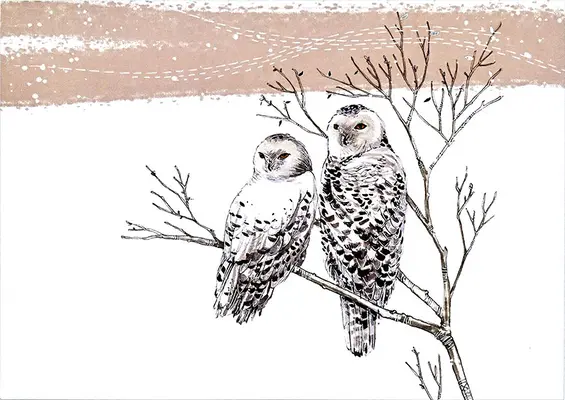 Snežné sovy Deluxe Holiday Cards v krabičke - Snowy Owls Deluxe Boxed Holiday Cards