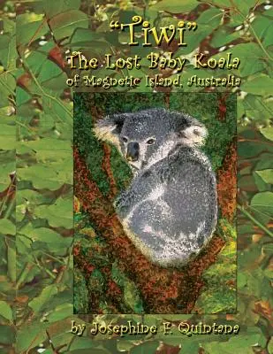 Tiwi, stratené mláďa koaly z Magnetického ostrova v Austrálii - Tiwi, the Lost Baby Koala of Magnetic Island, Australia