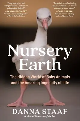 Škôlka Zem: Skrytý svet mláďat a úžasná vynaliezavosť života - Nursery Earth: The Hidden World of Baby Animals and the Amazing Ingenuity of Life