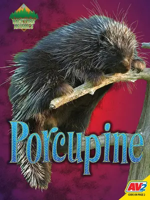 Dikobraz - Porcupine