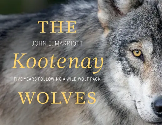 Kootenayskí vlci: Päť rokov po stopách divokej vlčej svorky - The Kootenay Wolves: Five Years Following a Wild Wolf Pack