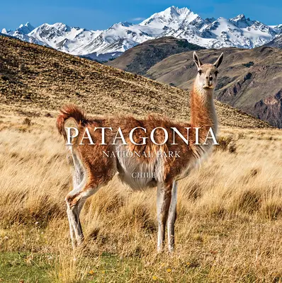 Národný park Patagónia: Čile: Čile - Patagonia National Park: Chile: Chile