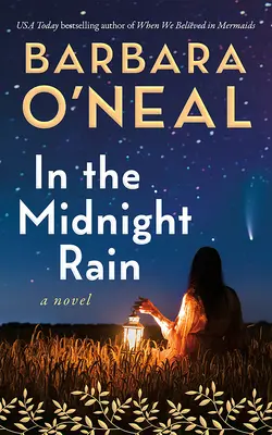 V polnočnom daždi - In the Midnight Rain
