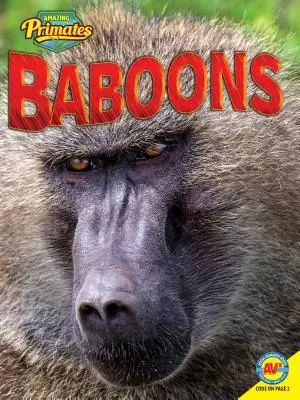 Paviáni - Baboons
