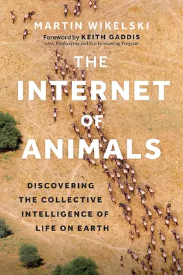 Internet zvierat: Objavovanie kolektívnej inteligencie života na Zemi - The Internet of Animals: Discovering the Collective Intelligence of Life on Earth