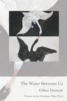 Voda medzi nami - The Water Between Us