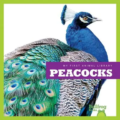 Pávy - Peacocks