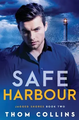 Bezpečný prístav - Safe Harbour