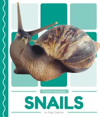 Slimáci - Snails