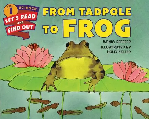Od paličky k žabe - From Tadpole to Frog