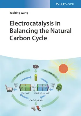 Elektrokatalýza pri vyrovnávaní prírodného cyklu uhlíka - Electrocatalysis in Balancing the Natural Carbon Cycle