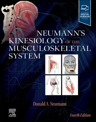 Neumannova kineziológia pohybového aparátu - Neumann's Kinesiology of the Musculoskeletal System