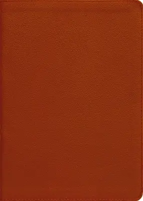Esv, Thompsonova Biblia s reťazou, pravá koža, teľacia koža, hnedá, červené písmená - Esv, Thompson Chain-Reference Bible, Genuine Leather, Calfskin, Tan, Red Letter